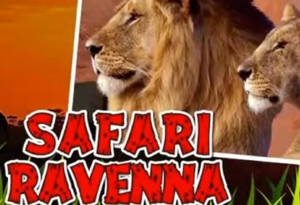 Offerta Pacchetti Hotel + Zoo Safari