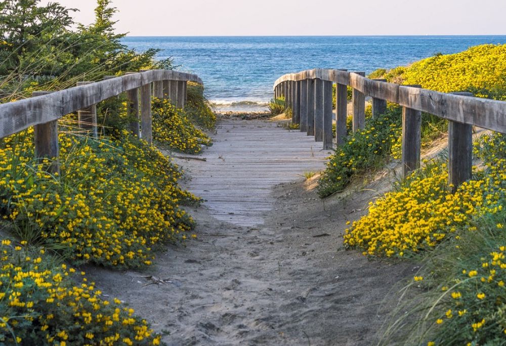 Printemps au bord de la mer